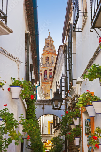 Photo: Flowers street at Cordoba Spain Flowers street at Cordoba Spain
