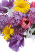 Bouquet of spring flowers Bouquet of spring flowers