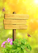 Message of nature