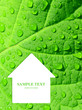 Green home Green home