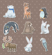 winter animal  stickers