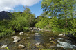 Corse, rivière de Costa verde