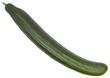 Cucumber Isolated Cucumber Isolated