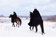 Medieval knights of St. John (Hospitallers) riding on a horses