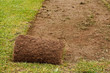 Roll of Cut Turf Roll of Cut Turf