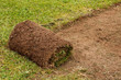Roll of Cut Turf on Lawn Roll of Cut Turf on Lawn