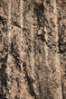 Front view of rock surface Front view of rock surface