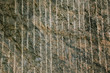 Front view of rock surface Front view of rock surface