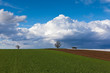 Ländliche Landschaft