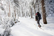 Hiker skiing in winter in mountains