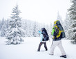 Hiker in the winter forest