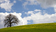 Campagna Toscana