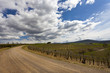 Campagna Toscana