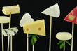 Various types of cheese