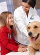 Little girl and dog at pets' clinic