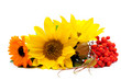 Summer still-life