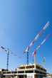 cranes and the construction site