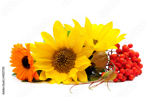 Foto: Summer still-life Summer still-life