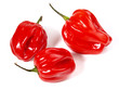 Chili