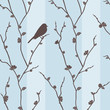 Illustration: Vector seamless pattern with bird on sakura Vector seamless pattern with bird on sakura