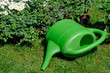 Giesskanne mit Gartenblumen