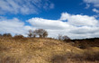 wild uncultivated hill wild uncultivated hill