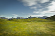 landscape without vegetation