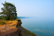 Photo: tree on the bank of the foggy river tree on the bank of the foggy river