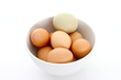 canvas print picture - Egg Bowl