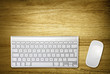 computer keyboard and mouse