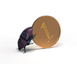 Illustration: scarab rolls a coin scarab rolls a coin