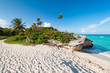 Beach of the Caribbean Sea in Mexico