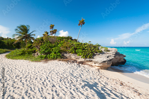 Foto: Beach of the Caribbean Sea in Mexico Beach of the Caribbean Sea in Mexico