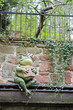 Frog King sitting near a garden Frog King sitting near a garden