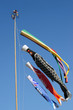 Koinobori-10