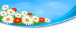Nature banner with colorful flowers. Vector.