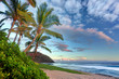 Plage de Grande-Anse - Ile de La Réunion