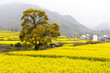 Chinese rural landscape Chinese rural landscape