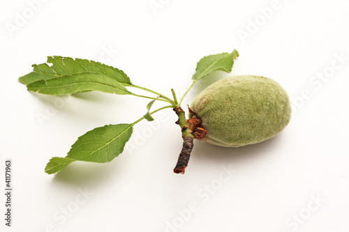 Photo: Amande encore verte Amande encore verte