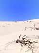 Deserto