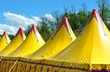 Cirque, la ménagerie