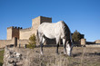 Horse and Castle