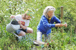 Gemeinsame Gartenarbeit