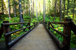Boardwalk