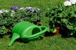Blumenkanne mit Sommerblumen
