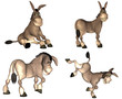 Illustration: Donkey Cartoon Pack - 2of2 Donkey Cartoon Pack - 2of2