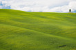 Tuscany landscape