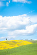 Tuscany landscape