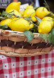 Wicker basket with lemons