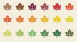 colorful maple leaves colorful maple leaves
